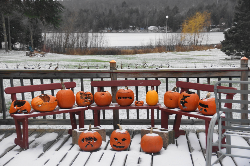 The pumpkins that have been sitting on the deck since pumpkin carving weekend will have to wait a little while longer before going out to the woods. New baiting rules prevent feeding the deer until after gun deer season.