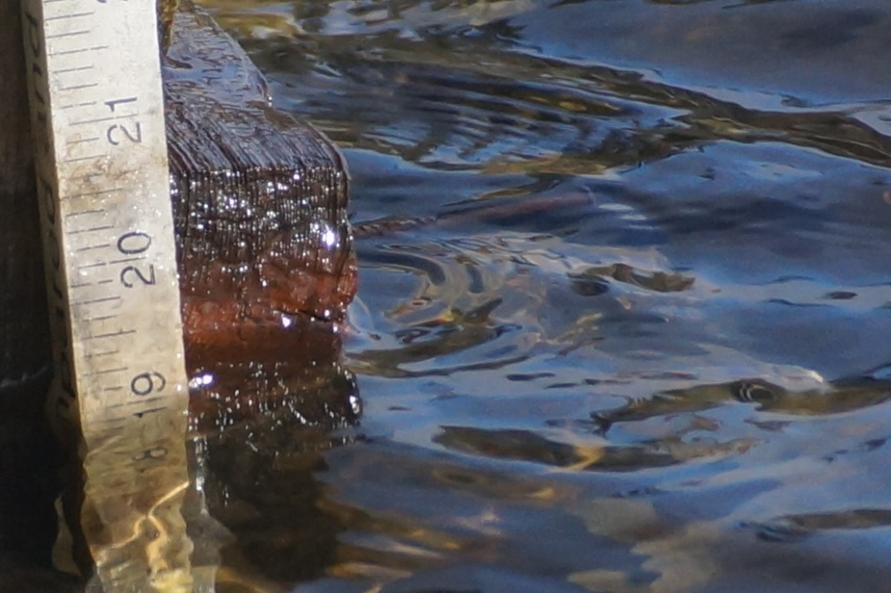 The lake level is down two inches from the start of the month, but it's still over the nail. If the ice were to go in today, Lake Lucerne has gained 14 inches over the course of 2016. Hazzah!