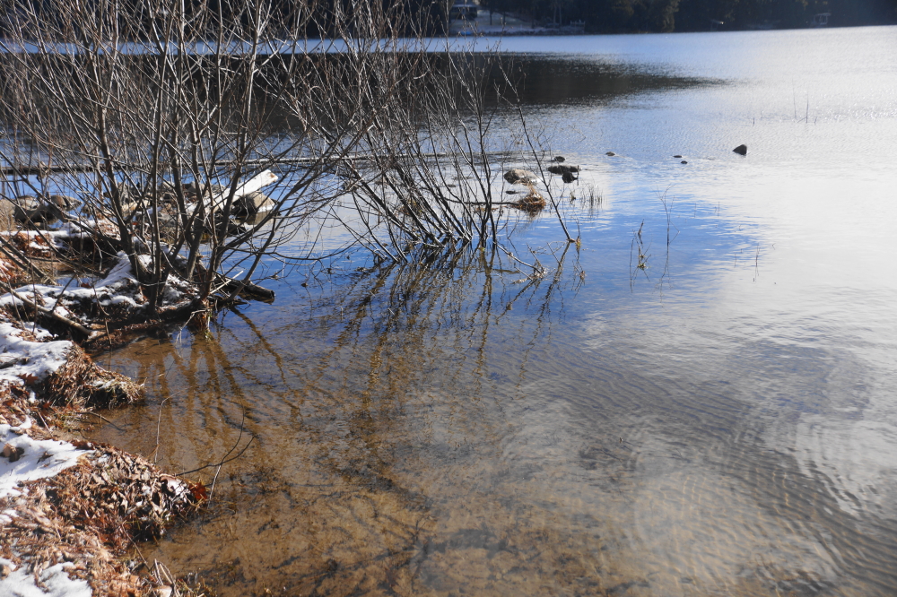 The water temperature is very un-warm but there is currently no ice on the North end of the lake. That should change soon.