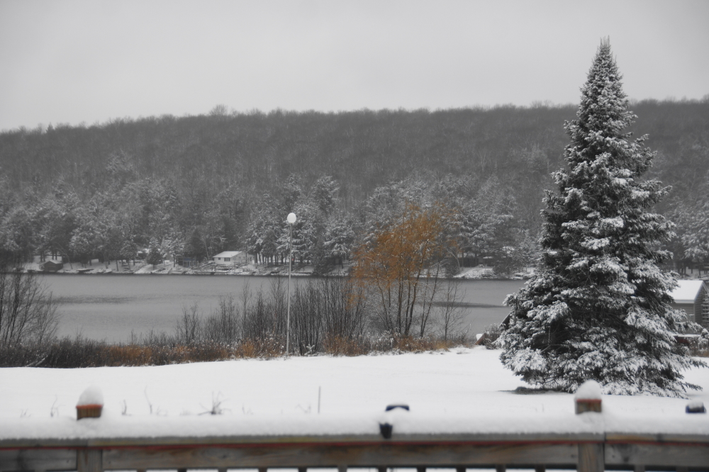 Starting Tuesday night, the lake area got the first significant snow of the season. By Wednesday evening, a wet, heavy 4 inch thick blanket of white covered the shore