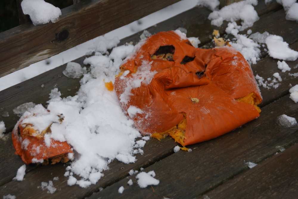 Don't be like Peter the Pumpkin, be careful when walking around outdoors. Note: One pumpkin was harmed to bring you this safety message.