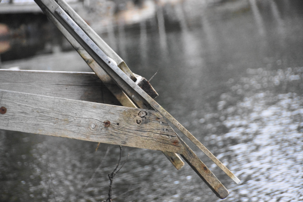And the lake level went up! It climbed to one inch above the nail and was still going up when the nail pier left the water for the Winter.