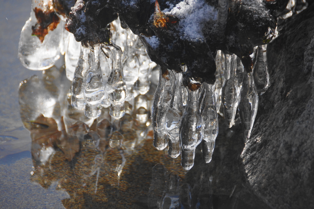 Mostly ice free. Some strange ice formations grew on shore detritus.