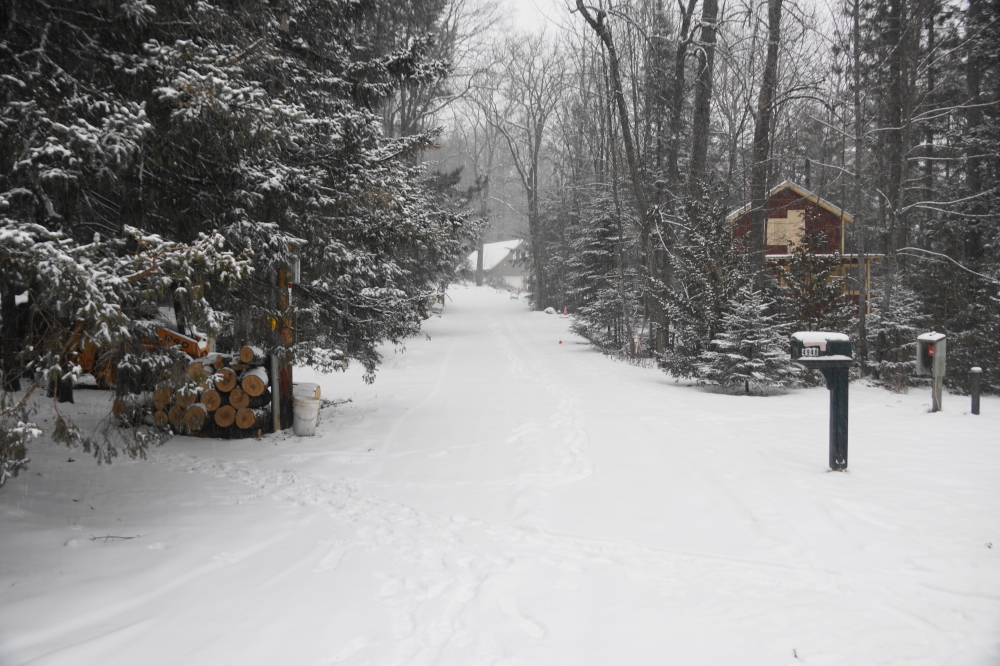 The Knott Lane road conditions deteriorated all week. If you are coming up next week, bring boots. Warm boots.