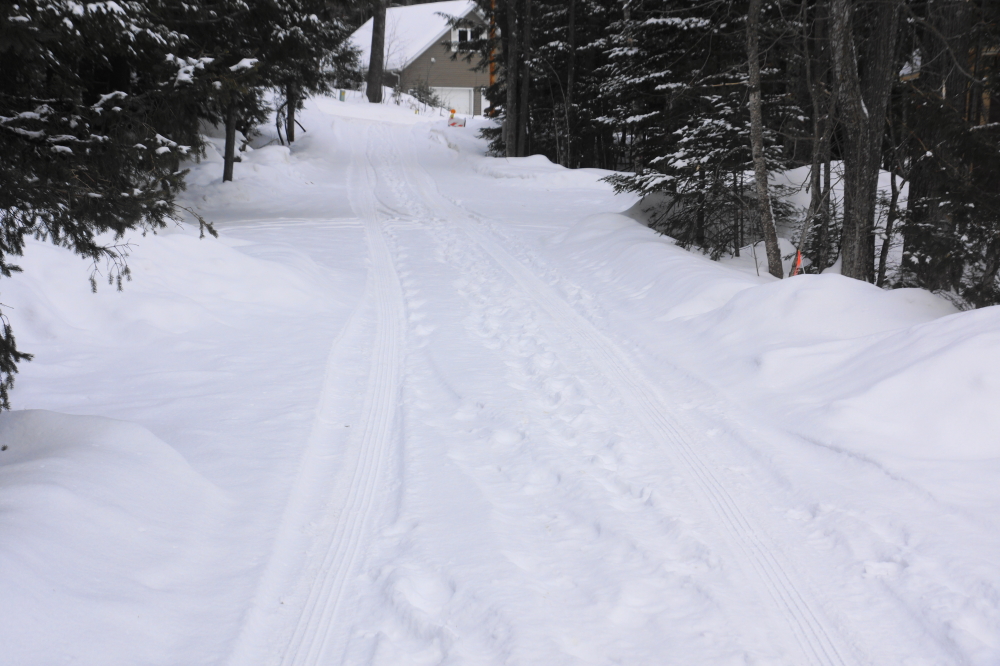 Under the snow that is Knott Lane, there is an ice layer. Yay. It should also be better come July.