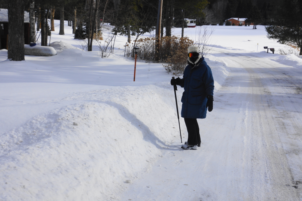 Some of us have given up the shovel and are opting for a more natural, slower way to clear driveways. This drive should be open by July.