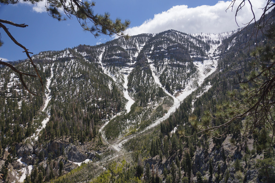 Near the top, looking out at the remaining snow, we were reminded that when downhill skiing, don't follow crazy cousin Joe down the hill. Wiser words were never spoken.