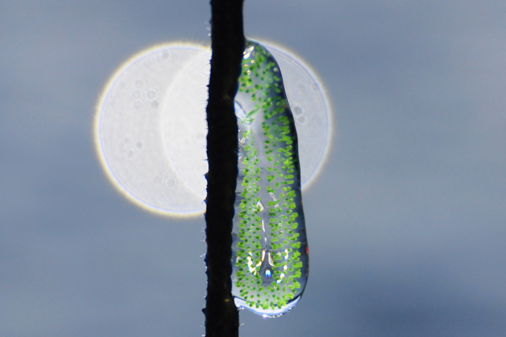 Extra care was taken when checking the lake temperature (currently at 66�F). Some lake creature got the rope all eggy or something.