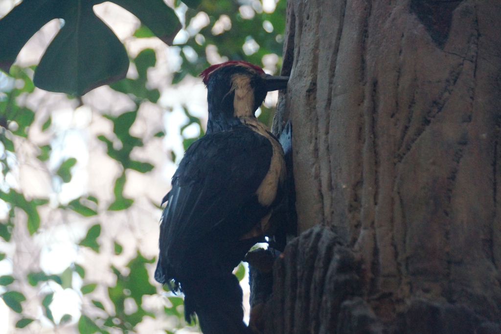 It will be nice to get back to the lake and see the wildlife. The animals that populate the forests and game rooms here are easier to find, but more animatronicy