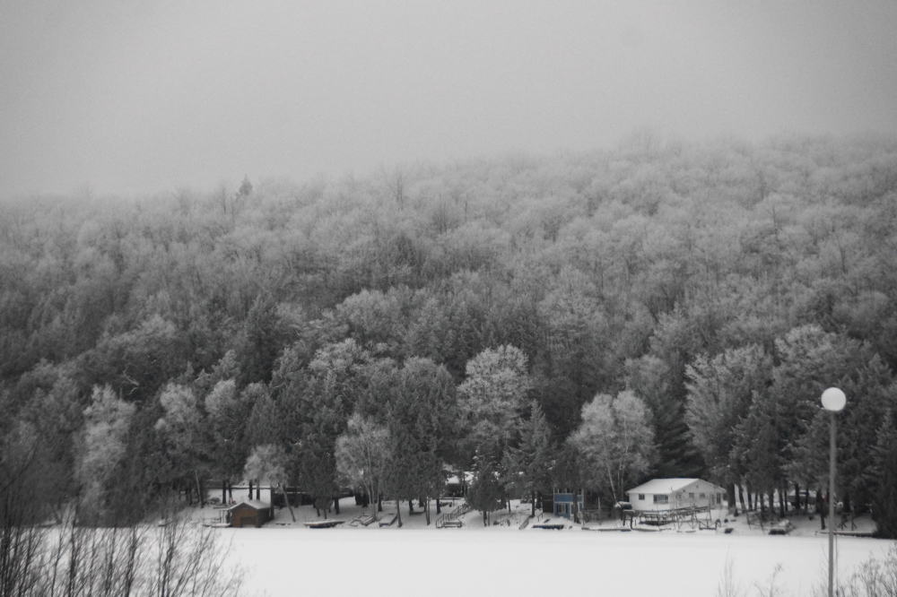 Hoarfrost at week's end.<br>Cold fog freezes everything.<br>Crystals envelop.