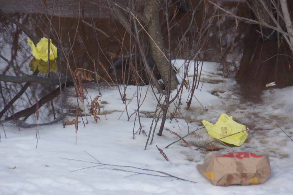 And now four words for the individuals that tossed their McGarbage into the swamp on the North end of the lake.