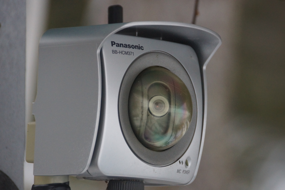 The knottlane webcam was judged stable enough after some post assembly testing and put back on its perch. One further surgery is scheduled in the next week or so to remove its cataracts.