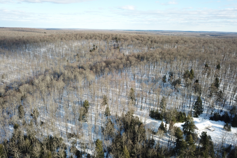 The snow is pretty deep in the surrounding woods. 