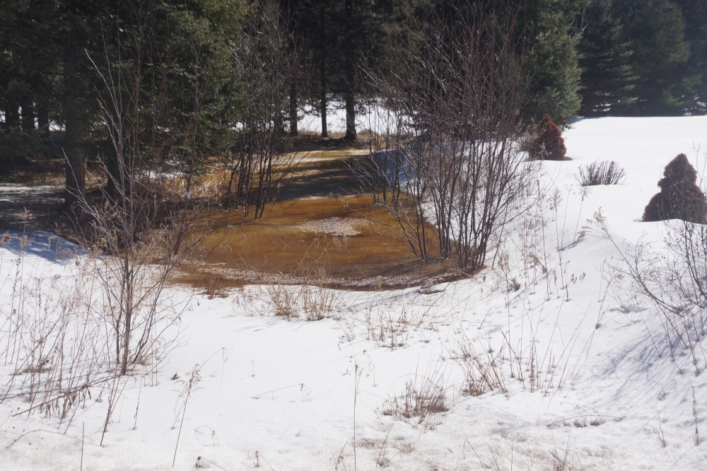 The bit of melt has pushed creeks, streams, and other inflows up to record levels. We've never seen them so full.  The lake should continue to rise.