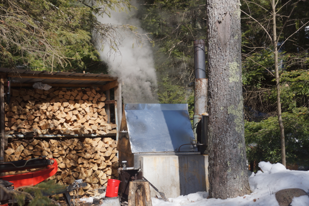 The cookers boiled the sap down all weekend with first syrup expected on Tuesday (BYOP).