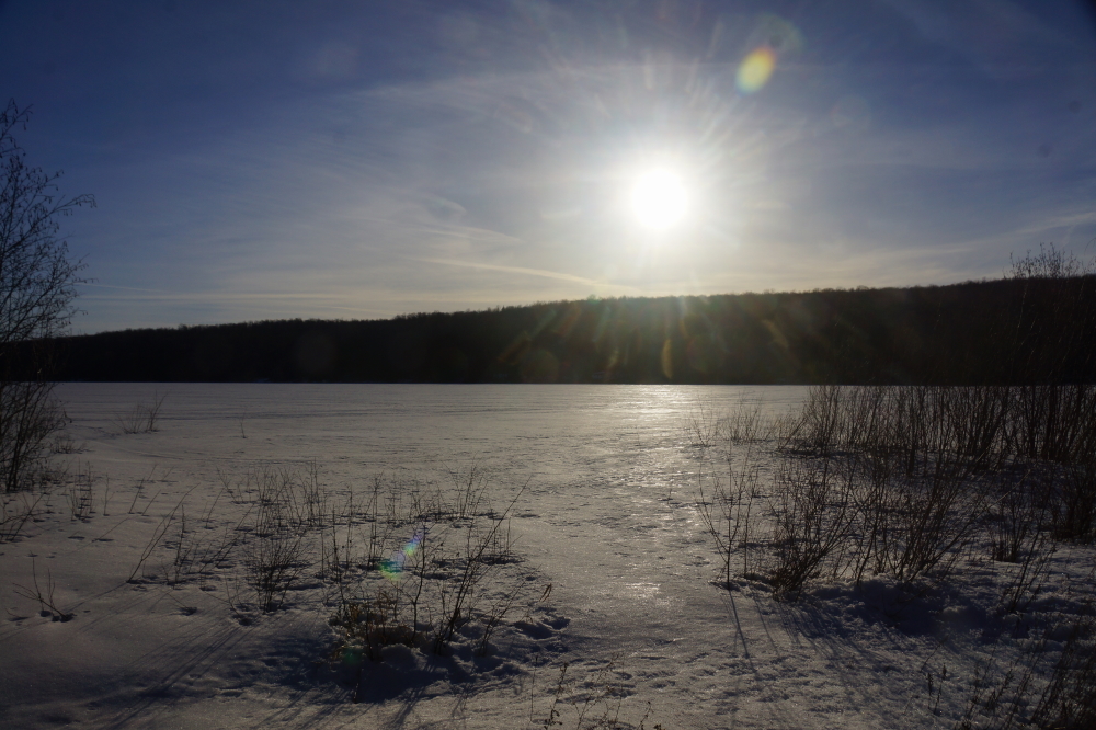 It's cold, but if you look closely, there are signs of Spring poking up from the perma-snow. The days are getting noticeably longer, the first syrup has been bottled, and we have rain predicted for early next week. Currently though, there is no swimming.<br><br>-Nemo, not swimming last week.