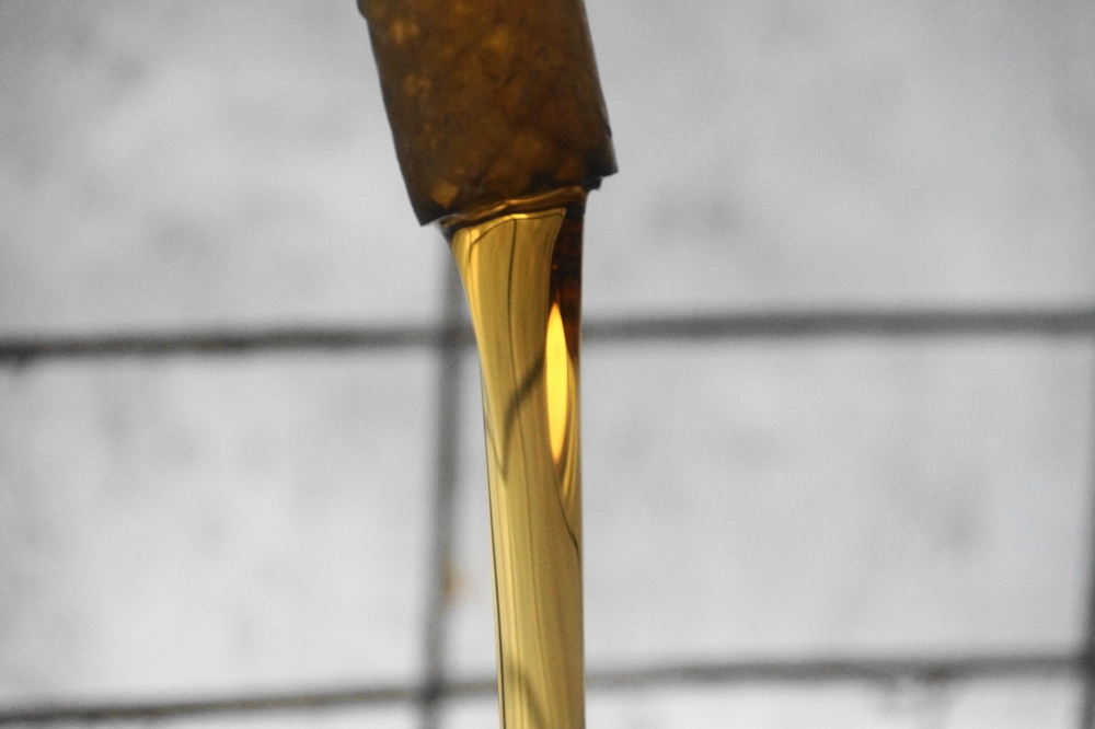 The result was some of the finest syrup we have ever produced. What this year is lacking in quantity it is more than making up for in quality.
