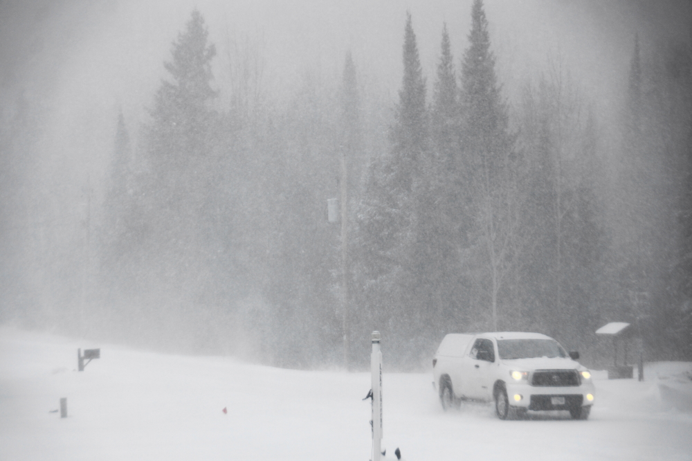 Then the snow really began to fall and collect in truly horrific amounts.