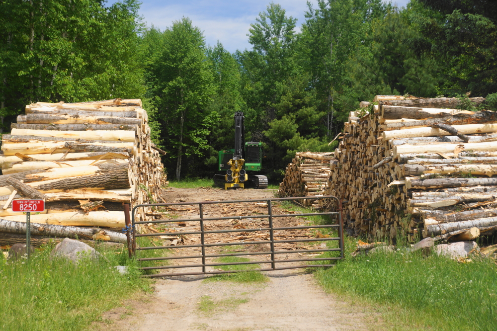 By week's end, the logging seemed to be winding down.
