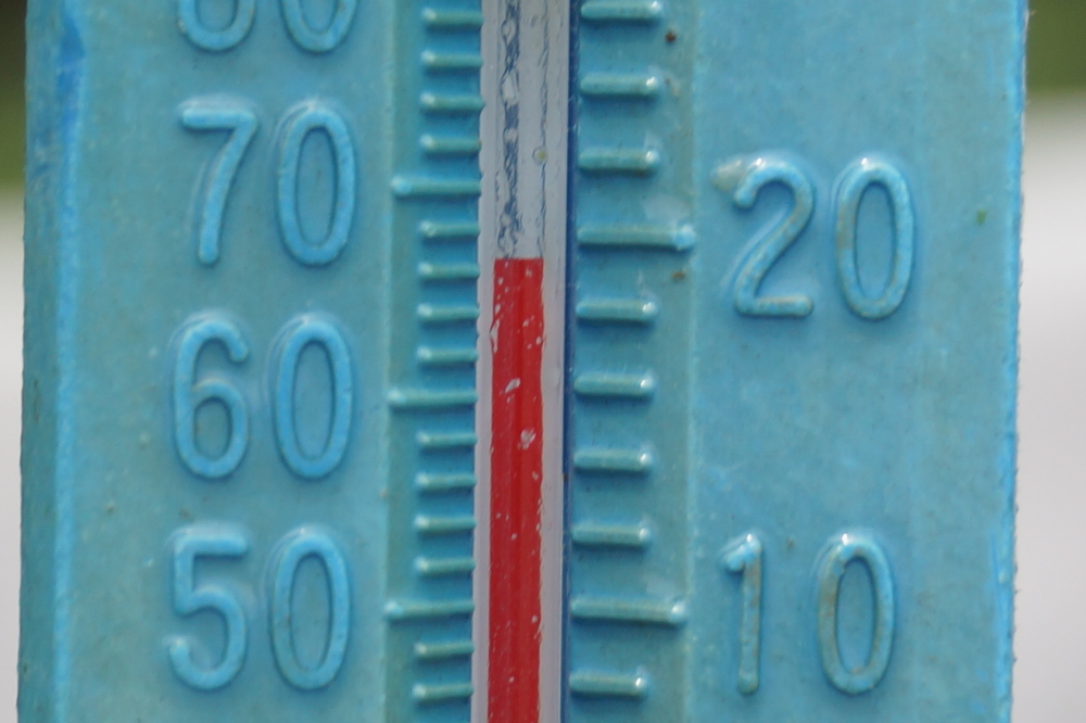 The lake temperature hovered around 67℉ all week. Cool but not freezing. Not very freezing, anyway.