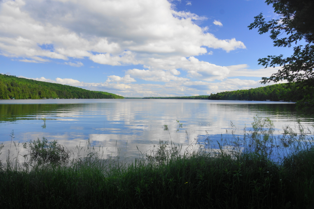 After last week's deluge, this happened. The damp and soaked awoke to puffy white clouds framed in blue, reasonable water temperatures, balmy air, and an insanely high lake level. We truly live in a golden age. Just don't leave that gold on the shore. With the lake level so high, any waves will wash it away.