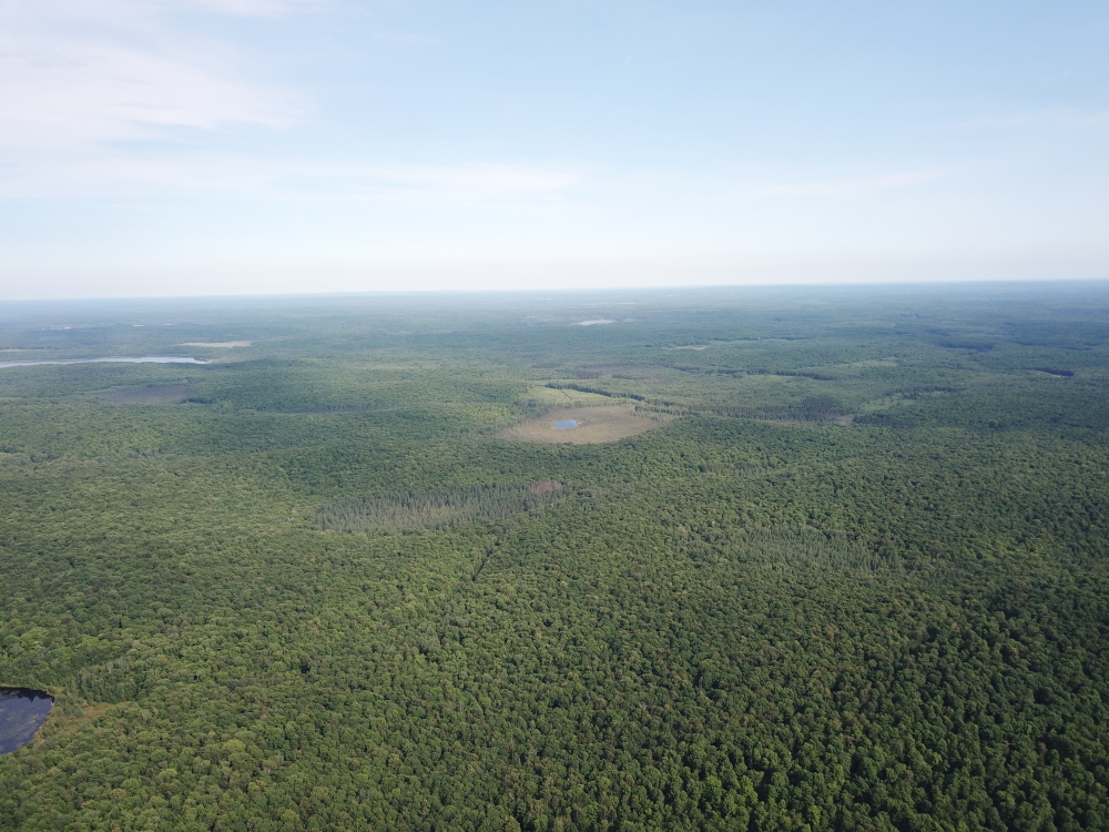 Looking a bit more South, we spotted what seemed at first glance to be a smallish pond. Initially we thought it was Indian Springs, the welling up of ice cold ground water that feeds Lake Riley.