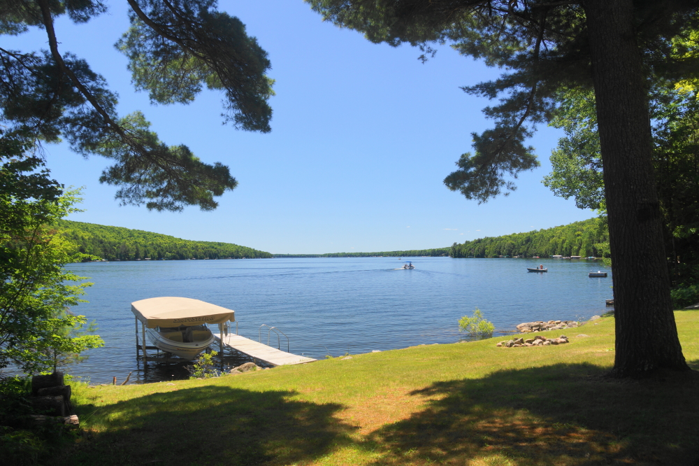It was warm last week with the first several days having a bonus of high humidity. No rain though. The several day long lack of precipitation has the lake level in retreat. It's dropped 1.5 inches, but it's still very high.