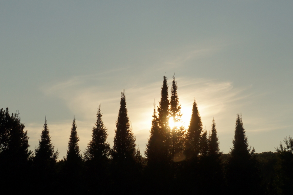 There was supposed to be rain much of the time last week. We got a bit, but mostly we got some nice sunsets.