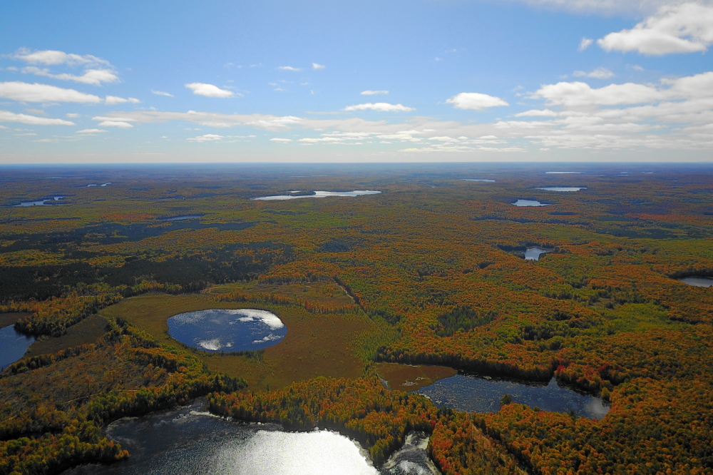 As are all the hills around all the lakes just South of Lake Lucerne.