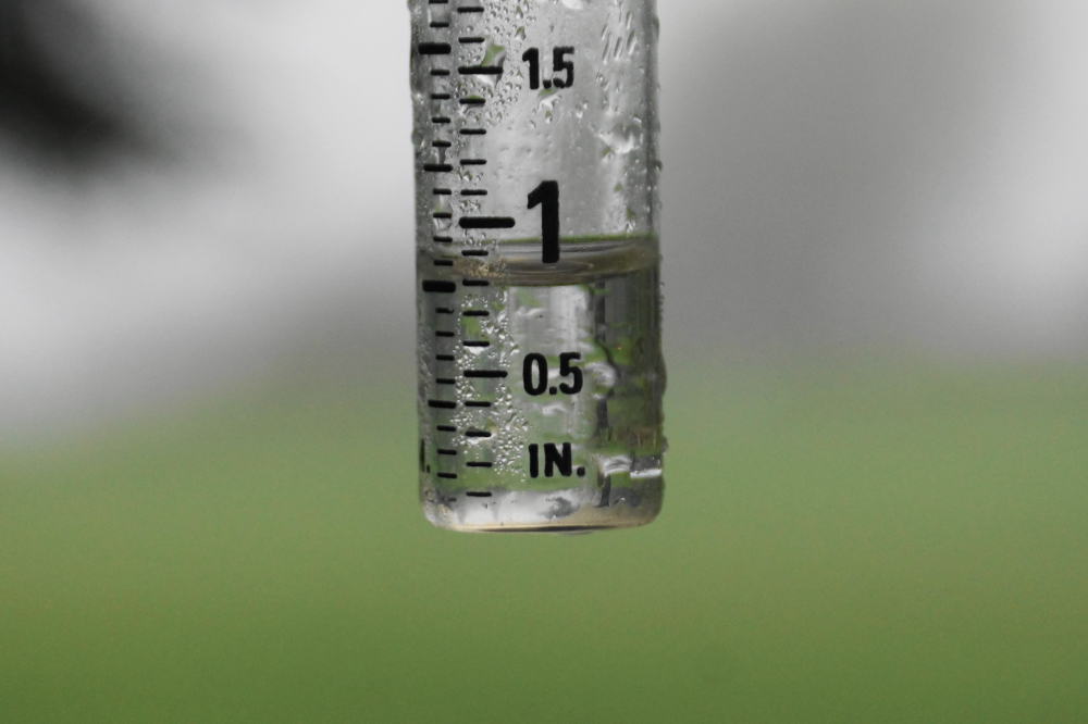 Last Thursday, it didn't rain. The rest of the week had some sort of sky dripping either at night or during the day. Or both. By mid-week, we gained almost an inch. Another half inch was totaled by Sunday. The lake level fell to 18 inches above the nail at the start of September. Lake Lucerne has gained 4 inches of depth since then to 22 inches above the nail. Will we touch the record level (26.5 inches) we saw at the start of July? Currently another 3 inches are forecast in the next 3 days. 