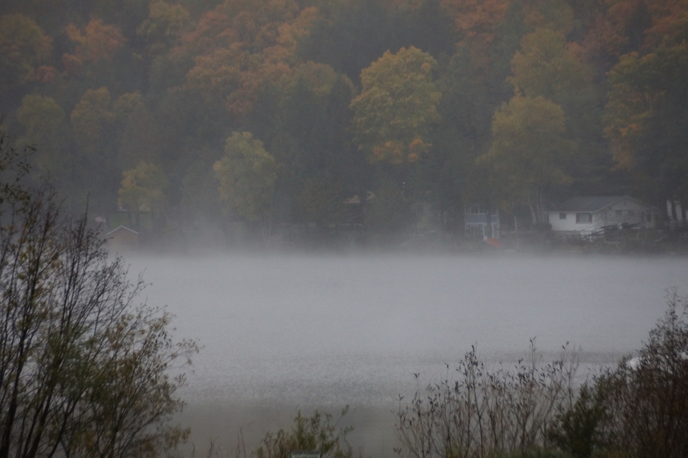 The cold air had the lake steaming off its heat most mornings and even some afternoons. The water temperature has crossed the line that separates the refreshingly cool and the insane. From this point forward, all that insist on playing in/on the water are a little  tetched.