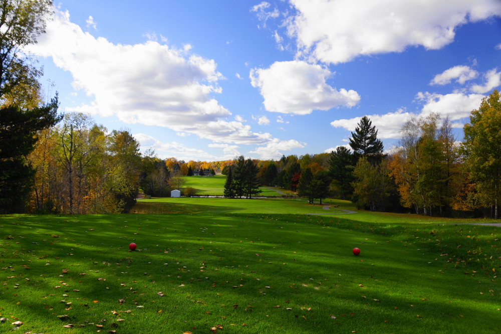 Golf courses still have tees and flags, but not many golfers.