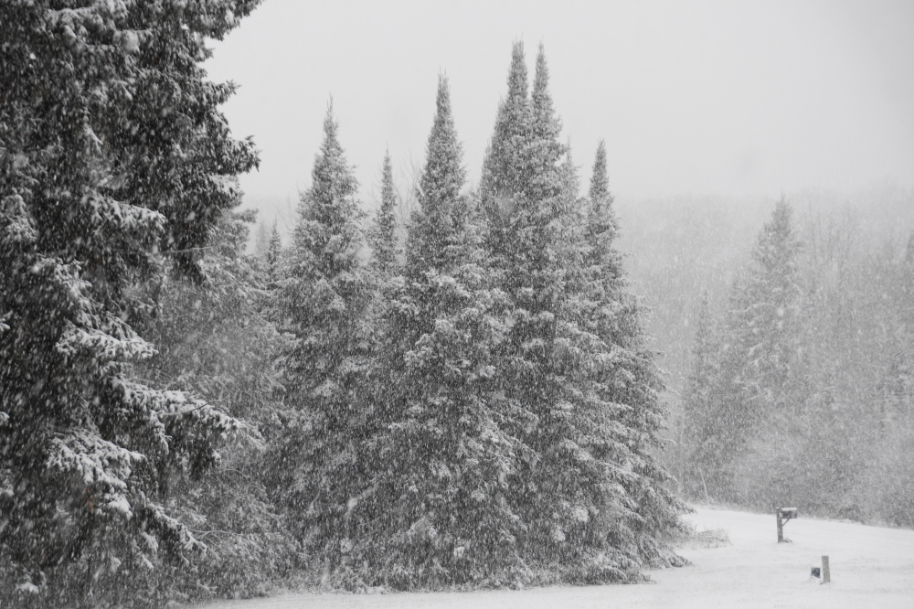 There was no golf on Sunday.