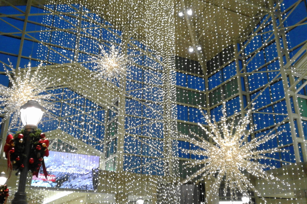 The Squirrel Armistice of 2018 was celebrated with a trip south to the big city. The holiday cold and lights seemed a tad premature given that Thanksgiving is two solid weeks away, but the lights were nice anyway (the cold, not so much).