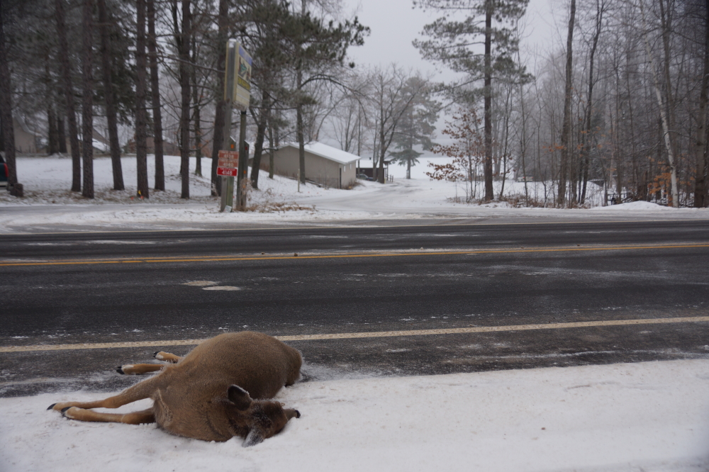 Some observers took a rest when it became clear that the lake would not freeze over before the weekend ended.