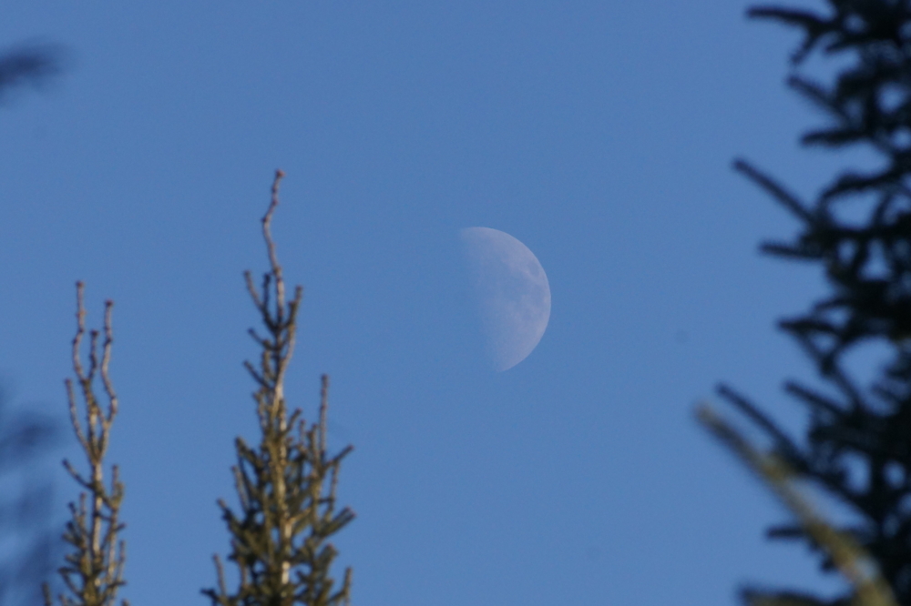 The waxing moon, combined with a clear that pushed past sunset, made for some relatively bright nights.