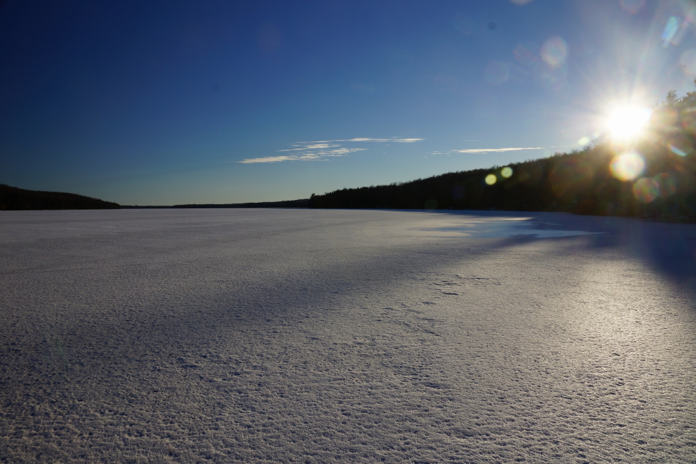 At the tail end of last week, the lake got about an inch of very light, fluffy snow. We need more. Not for the lake level, we have plenty of lake level (some say too much), but for the snowmobilers and bottle rocketeers.  There is some predicted for the coming week, but we've seen one too many 5 to 8 inchers turn into just a wintery mix to get very excited. The plan last week was to get some pictures of the lit tree in front of Johnnie's and the lights at the Court House, but the time and weather put the kibosh on that.  We'll get it next week for sure.<br><br><br>-Nemo's less tetchy after his morning coffee.