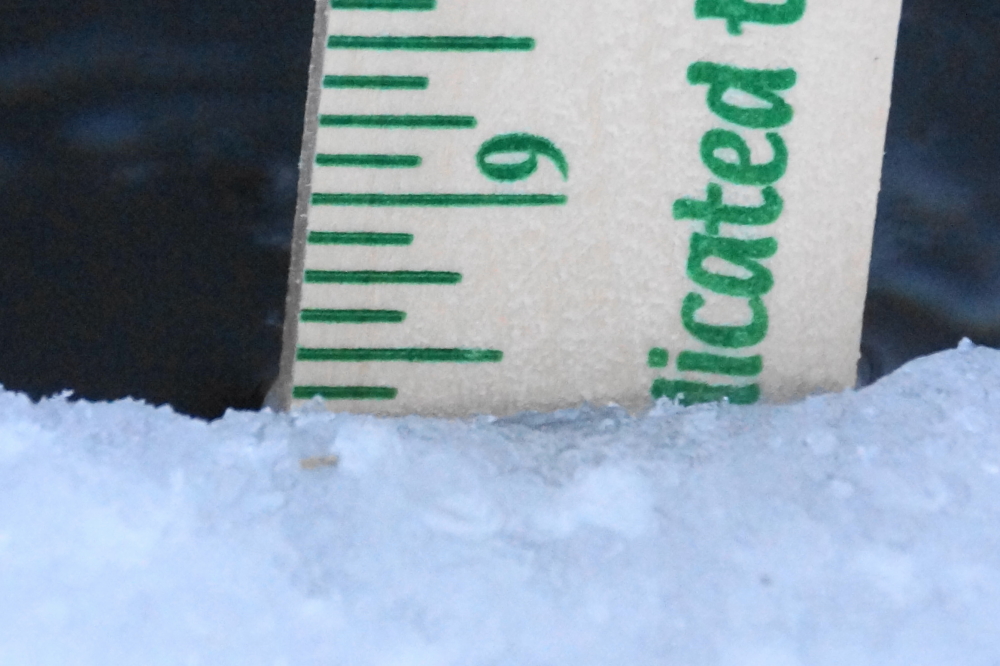 The ice on the North end of the lake is only 8.5 inches deep. Some areas have as little as 6 smooth, crystal clear inches. It's been reported that you can clearly see the bottom while walking around in these places. It's a bit unnerving.