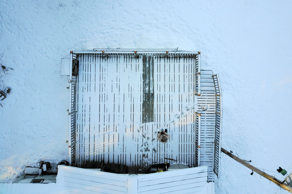Early in the week, there were the inevitable dustings of snow you get this time of year. The kind that, after one shovel pass, you deem unworthy of clearing.