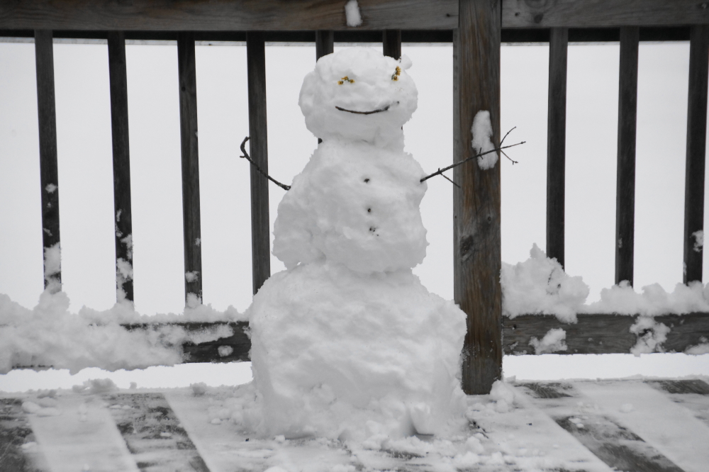 The 2 inches was not without its charm. It was shovel worthy (just barely) and snowman friendly.
