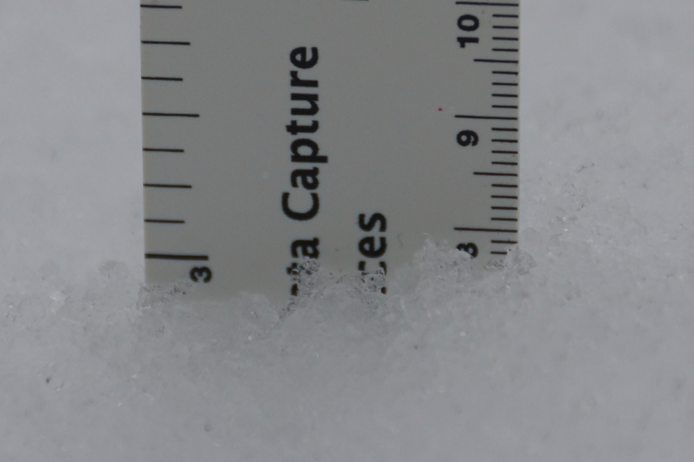 There was snow! Early in the week we got about 3 inches before the precipitation turned into rain. 