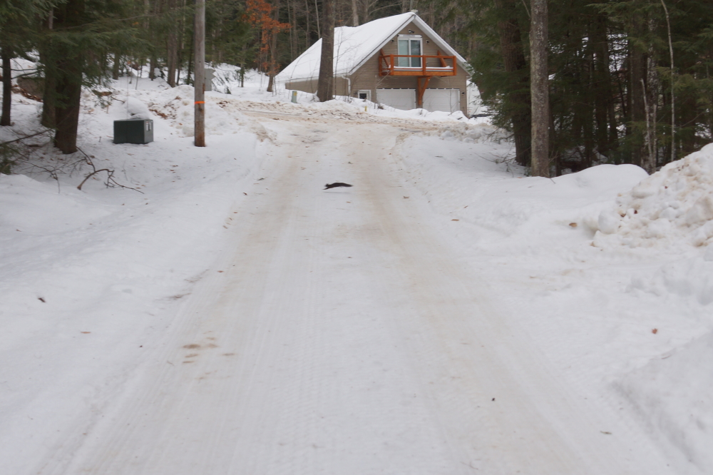 Knott Lane was not in good shape even before the wet froze into a wonderfully friction-less coating. For reading this far into this rather wet, icy, and colorless summary, spot the squirrel and receive 7 bonus points! Points can be exchanged in the knottlane store* for valuable prizes including cars, boats, cabins, and private planes.<br><br>*There is no knottlane store. Also code monkeys will no longer be allowed to "Irish up" their coffees for the holidays. <br> -The Management