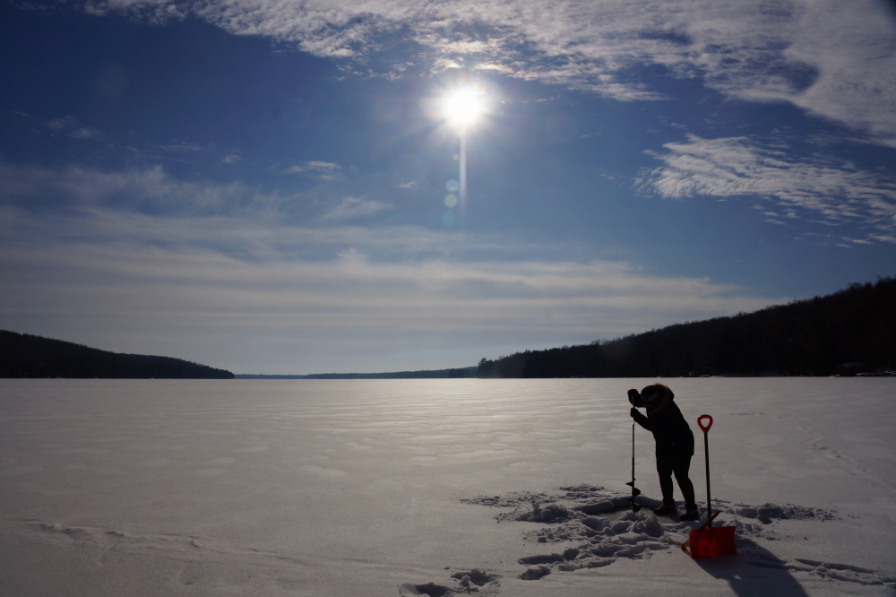 After recovering from the undoing, all that remained was to check the lake ice. A small patch of Lucerne was cleared and a hole was started.