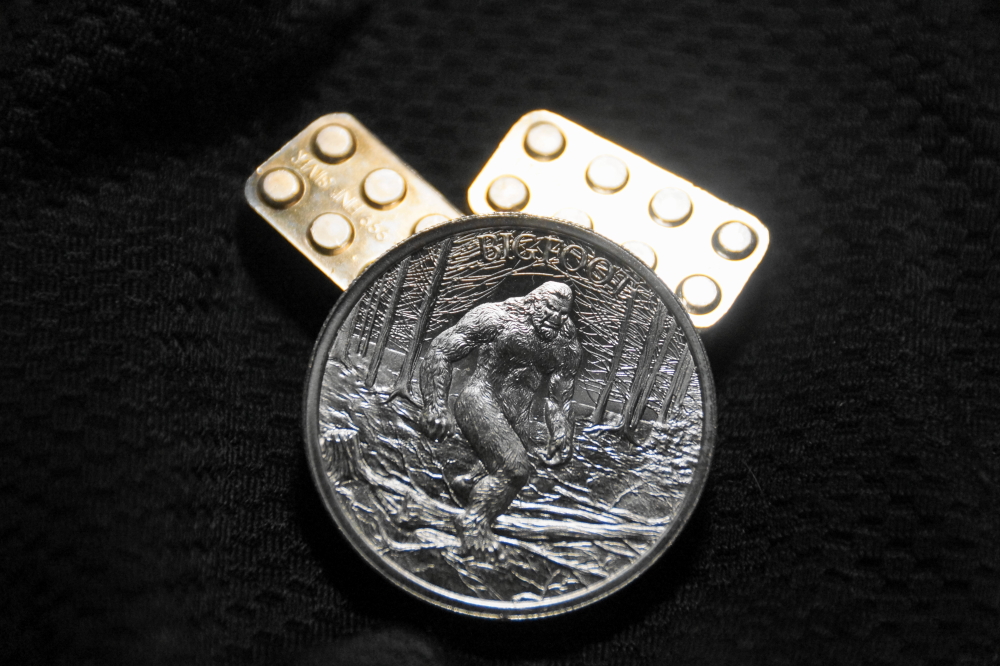 Congratulations to Mrs Nemo and Taylor for winning this year's Silver Brick (1 oz 99.999 pure silver) for fort building. Special compliments to xxLt for winning this year's BigFoot Award for Outstanding Beauty and Timeliness (2 oz 99.999 pure silver) for plowing out most of Mequon in the late morning and then rushing up north to make the first shot all the while keeping up the strict dress code and fashion sense that has become a hallmark of the North's fort.