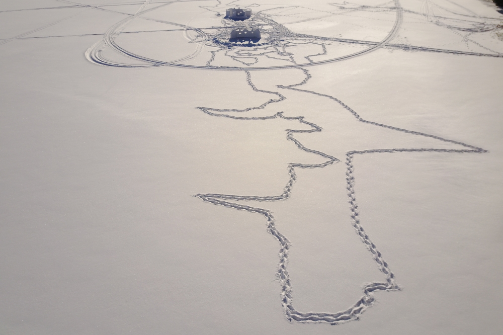 When the sun was out, we couldn't help but notice the paths that those brave few took while picking up sticks from the prior week's bottle rocket war.