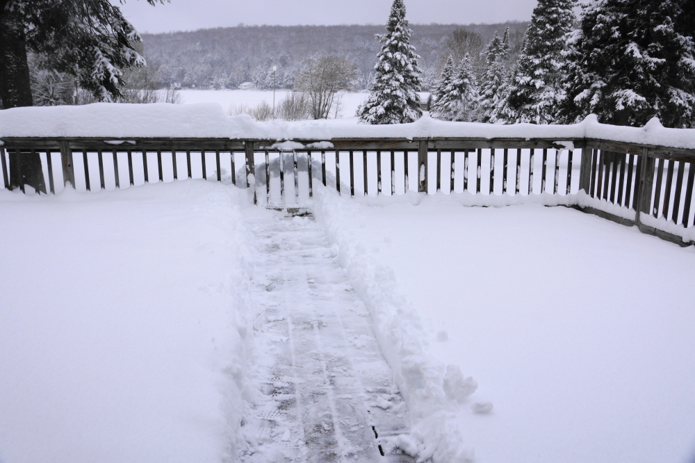 Then it started to snow. Half a deck was cleared after the first 48 hours. Then, the continuing storm recovered everything. Two snowy days later, a line was shoveled down the middle. The previously uncleared side was somewhat higher than the other so you get the two-level effect with a little path running down the middle.  Some liked it. (KNIGHTS OF NI: A path! A path! A path!)