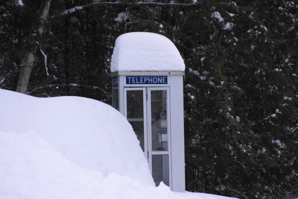 By the end of the weather, all the items around the lake had nice, tall hats.