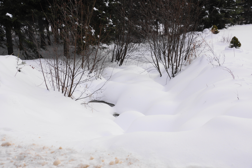 With the sunny, warmer weekend came the sound of running water under those lobes of snow.