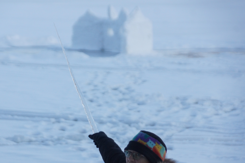 The Sunny-cold grew icicles into ice swords  For snow warriors, it's the weapon of choice to fend off Zombie Deep Winter or capture ice forts.