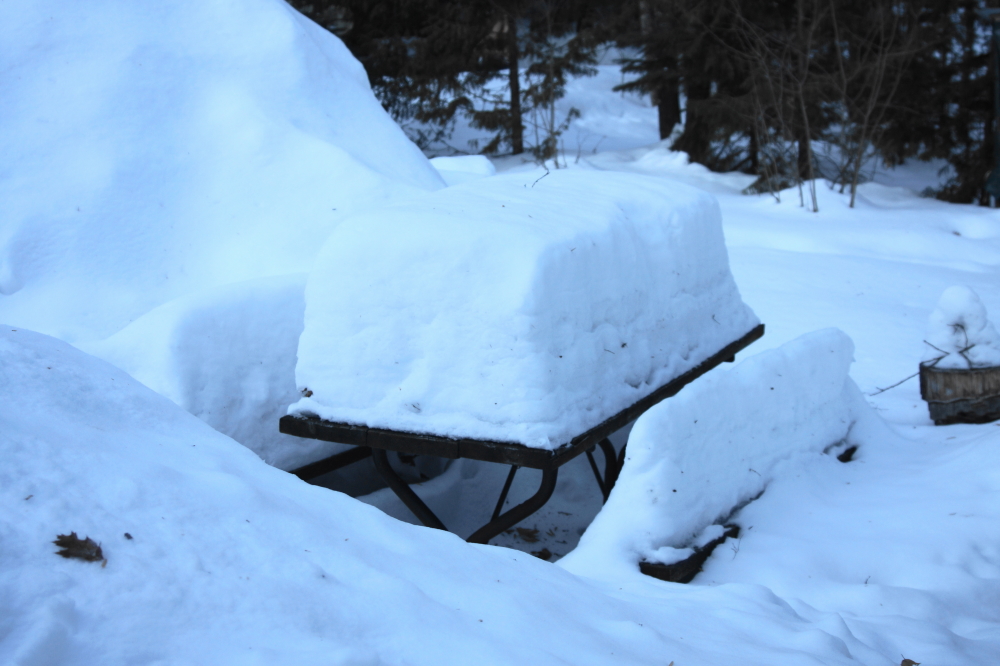 It was further noted that the weather may have been too cold to enjoy the picnic table.